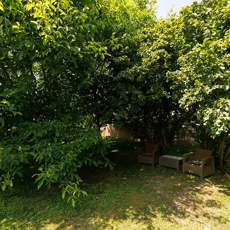 Csillag Vendeghaz * Mórahalom